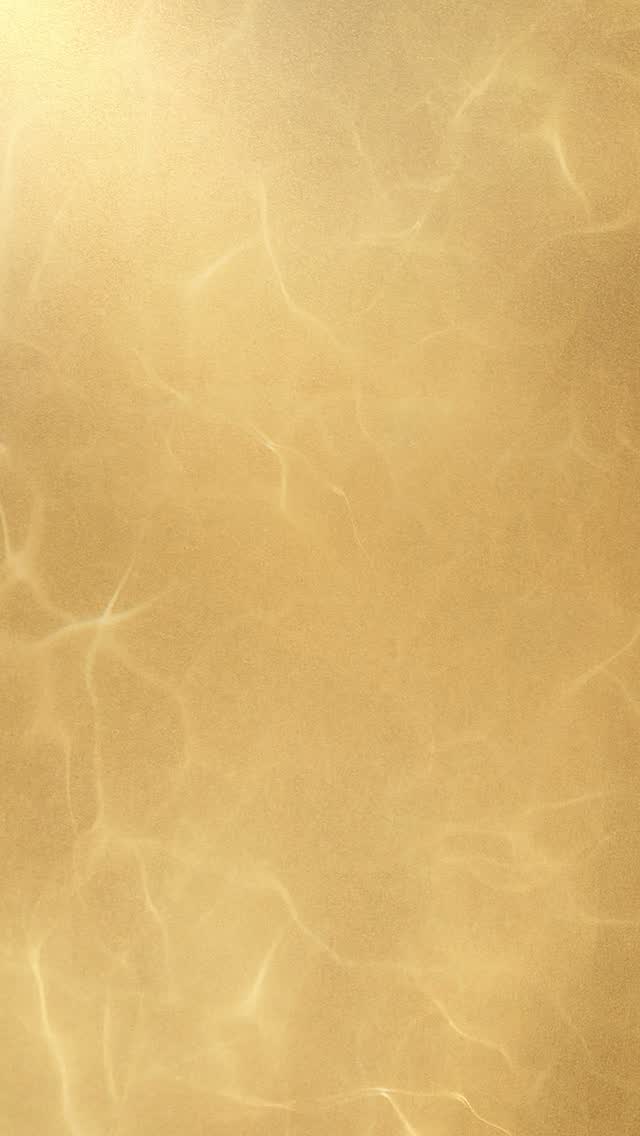 Bridal hair goals start with the right prep