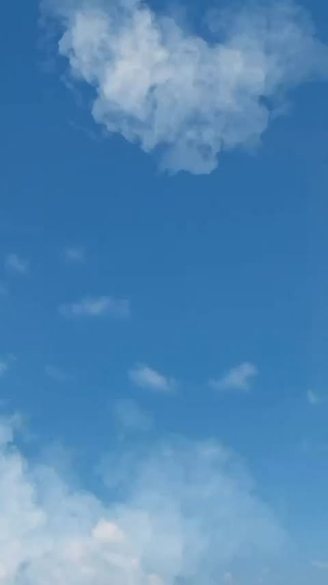 Found love in my Veg Era KFC Chatpata Chana Burger, now at your nearest KFC hurry up buoy ChatpataChanaBurg...