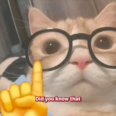 Thought of the day Stop thinking , Port Blair , Airports Authority of India