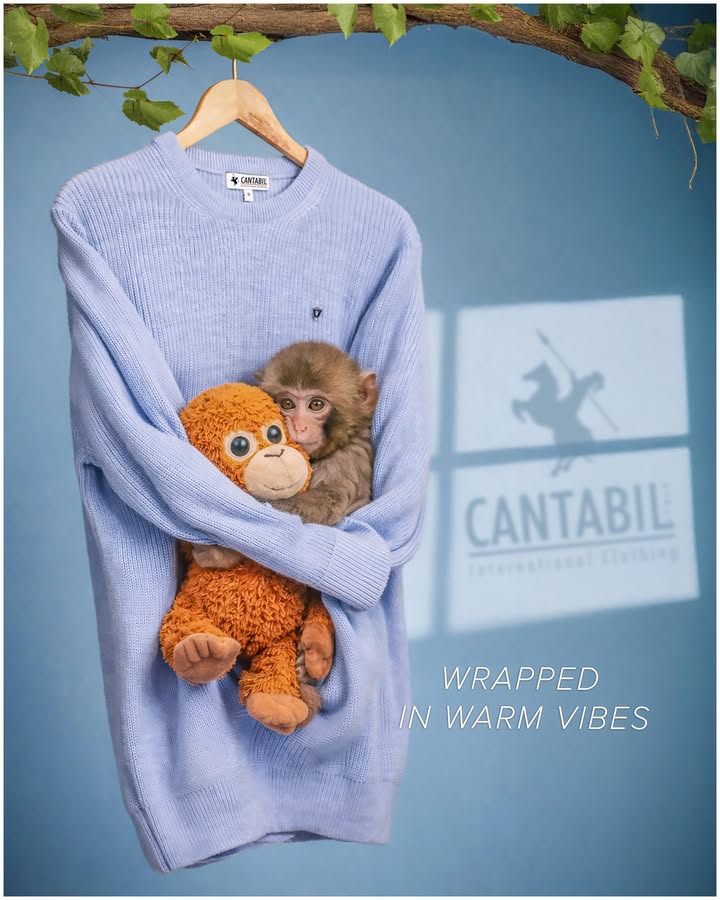 Cantabil fits Wrapped in warm, cozy, and cared for vibes. Just like a baby monkey PUNCH with its soft toy