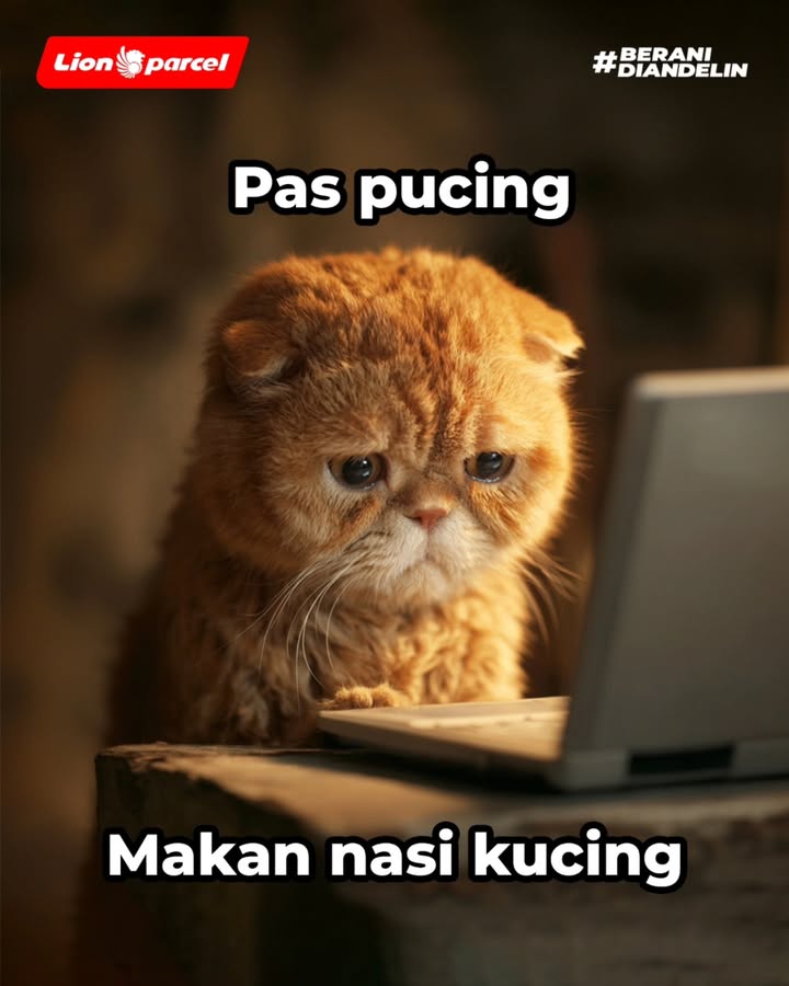 Manaaaa nih para pejuang letih nan pusing ....