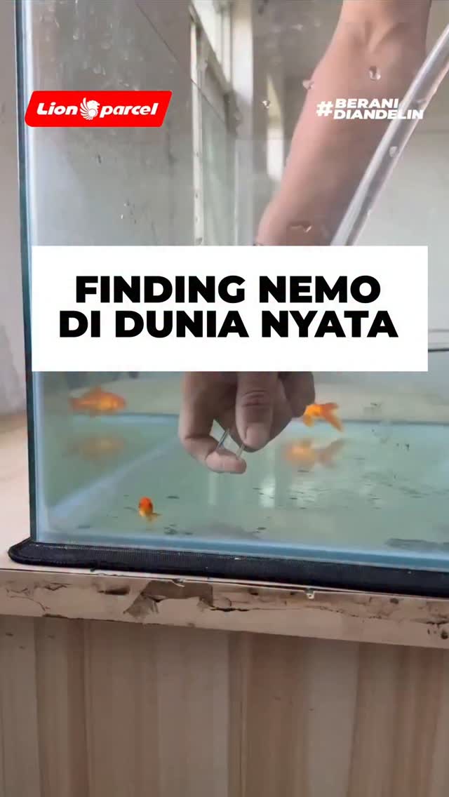 Ternyata beneran ada loh LionParcel BeraniDiandelin VirtualCEOLionParcel LIOLIO