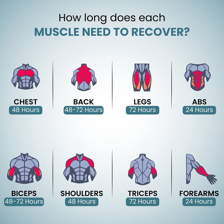  One muscle in your body needs almost 3x more recovery than the rest can you guess which Clue Its a major playe...
