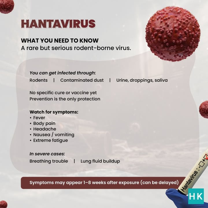 Hantavirus is rare, but its not something to ignore