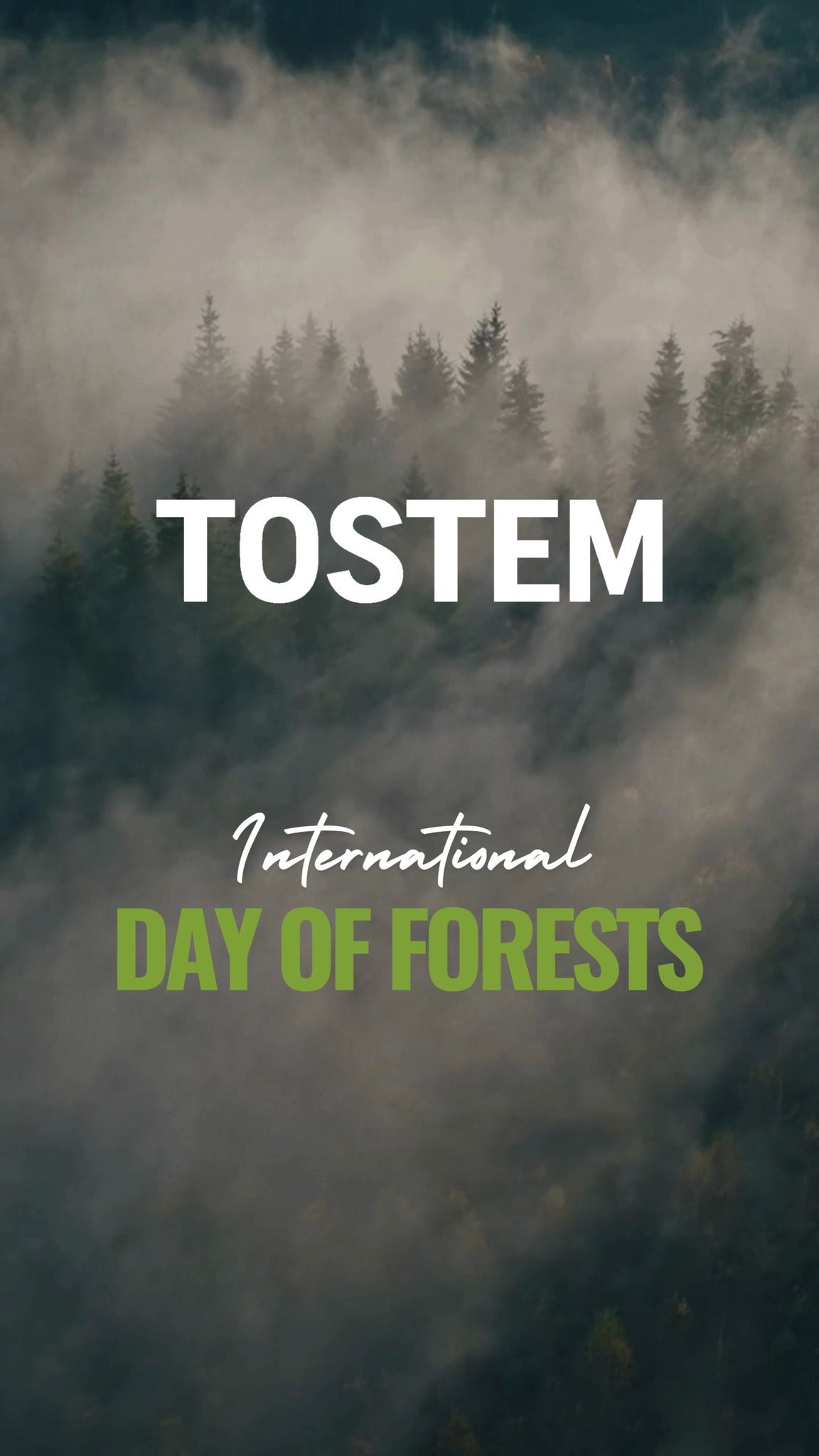 Forests are not just landscapes, theyre living systems that sustain everything around us