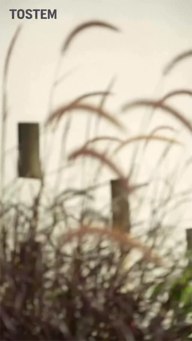 Dissolving the boundaries between structure and nature