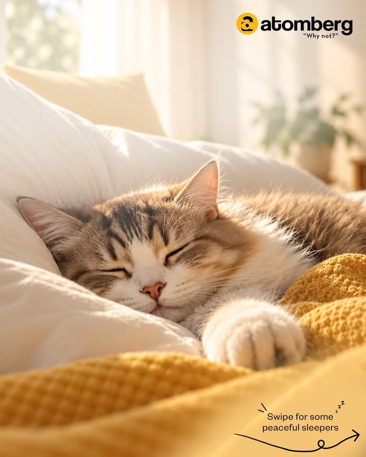 We wont wake you. Promise. Atomberg SleepGoals