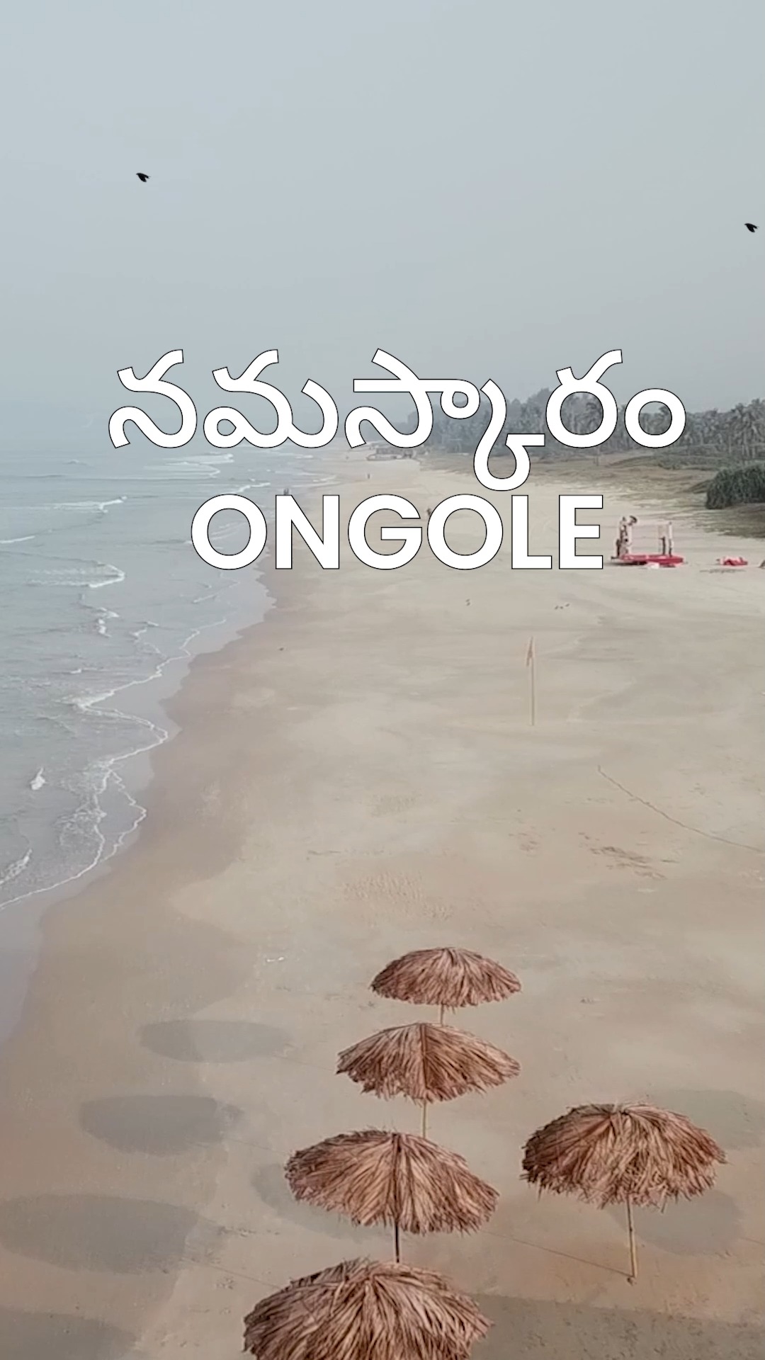  Ongole, Get Ready to Transform Your Home with Royaloak Indias No