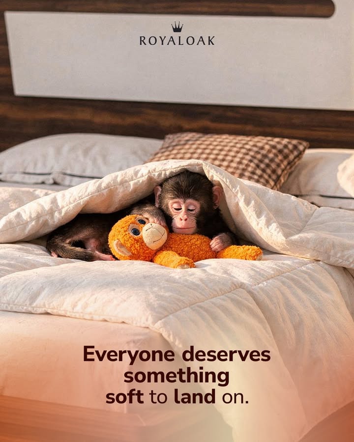 No matter what the day brings, everyone deserves a place that feels safe. A comfort that carries you through it all