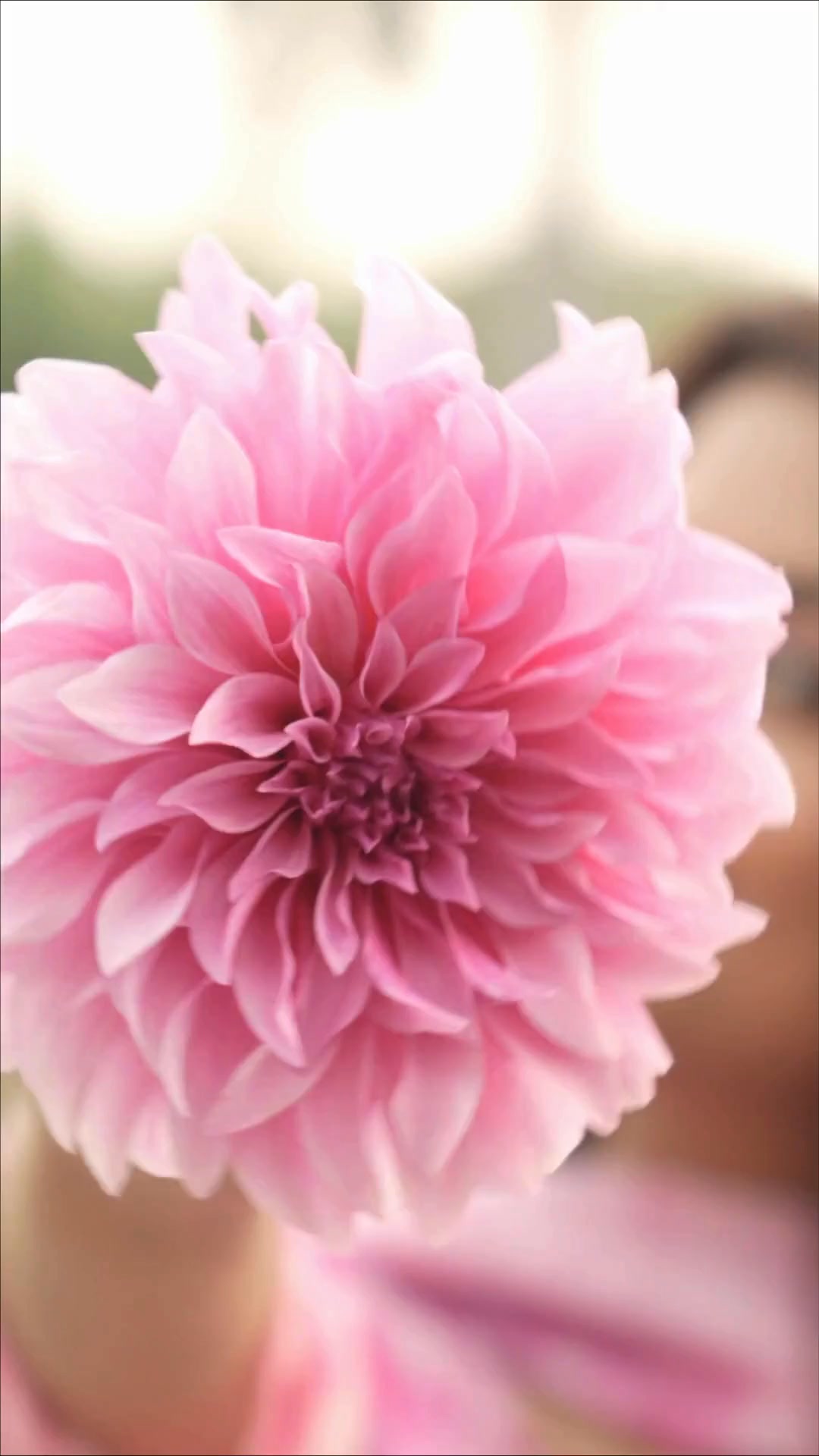 A new season, a fresh mood, and styles that speak without trying too hard. Spring with wforwoman just feels right. . 