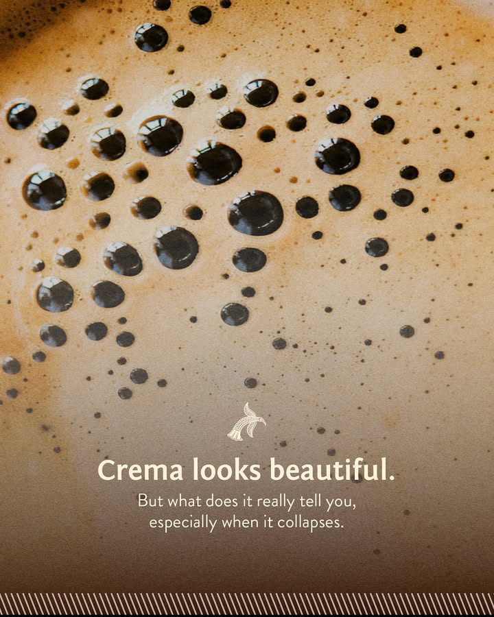 When you picture the perfect espresso, chances are youre picturing a pretty layer crema on top