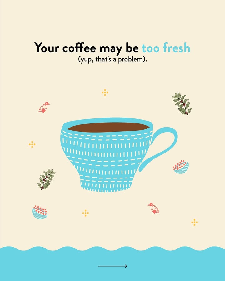The freshest cup isnt always the best. BlueTokaiCoffeeEducation coffeerestingperiod