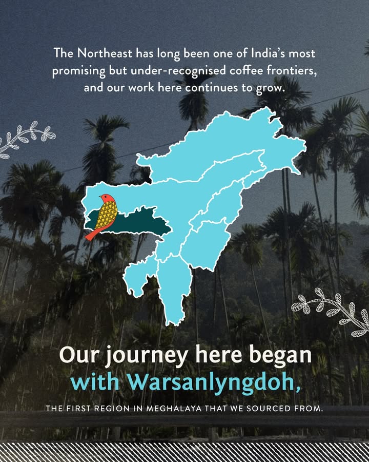 The Garo Hills may still be early in its coffee journey, but each season brings it closer to consistent specialty grade qual...