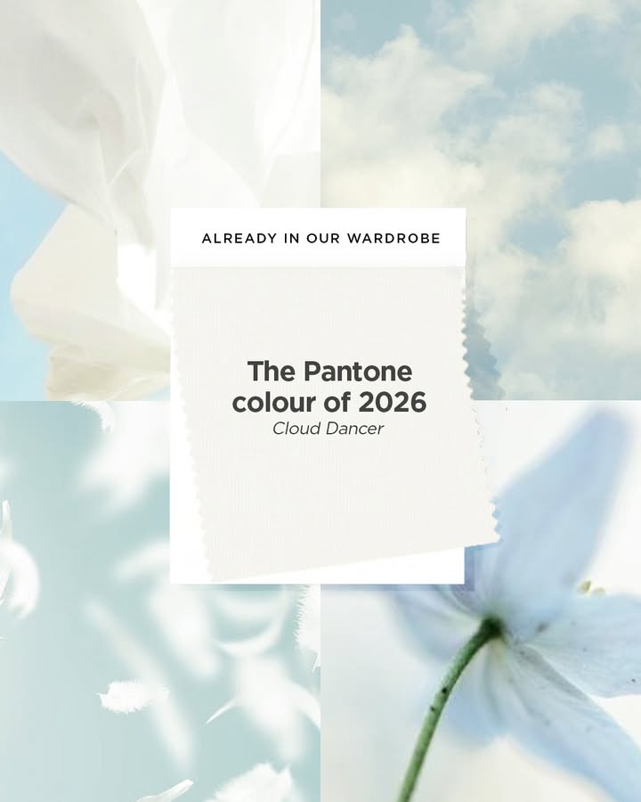  brings a quiet elegance to ...