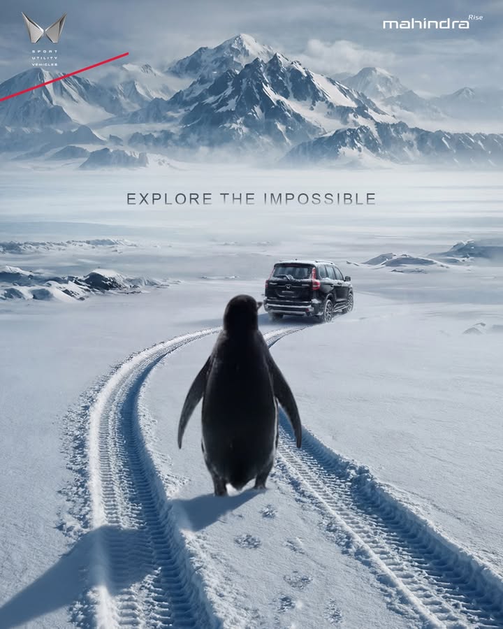 Be the penguin. Embrace the spirit to explore the impossible