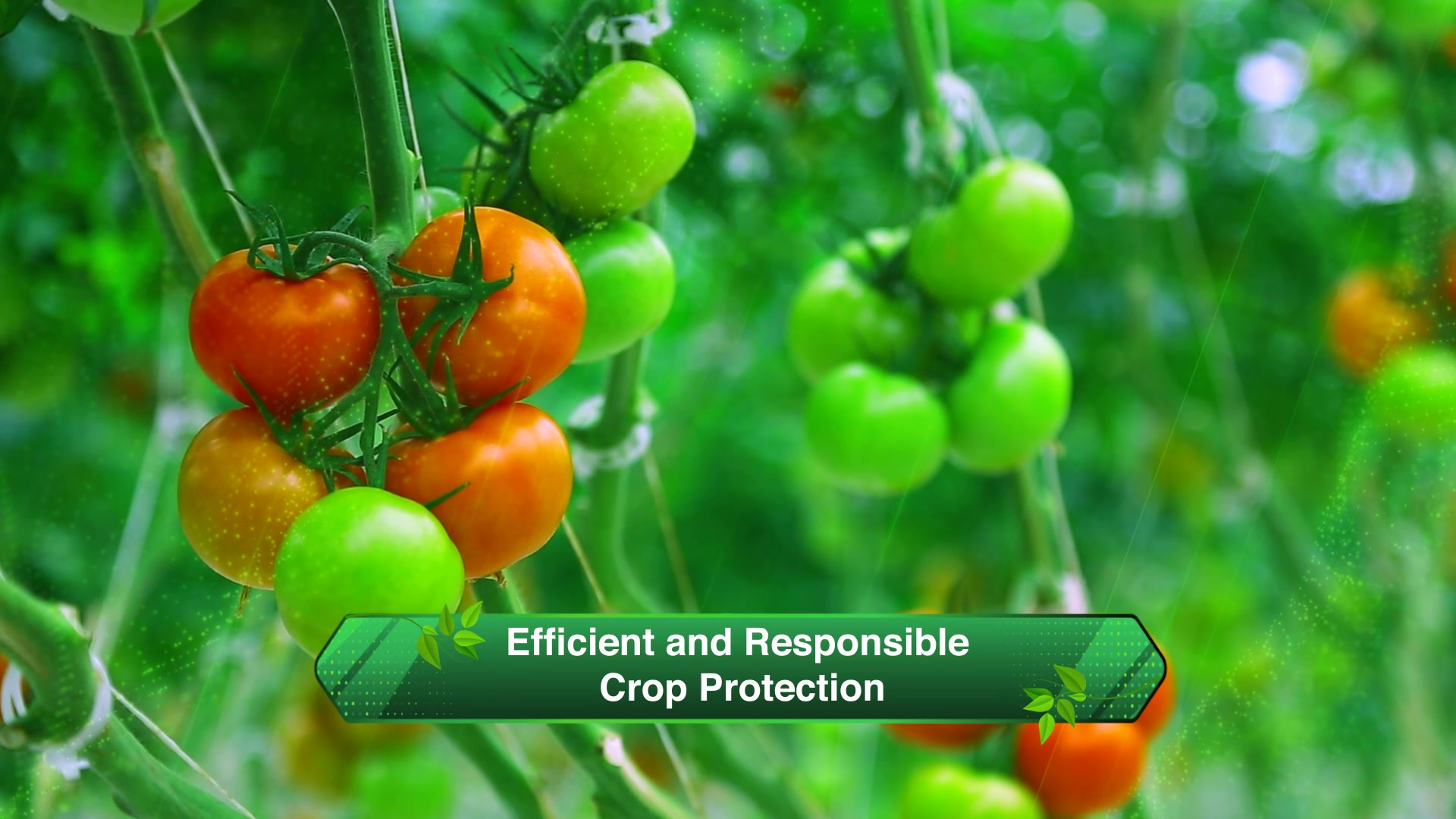  Innovation for farmers. Sustainability for tomorrow