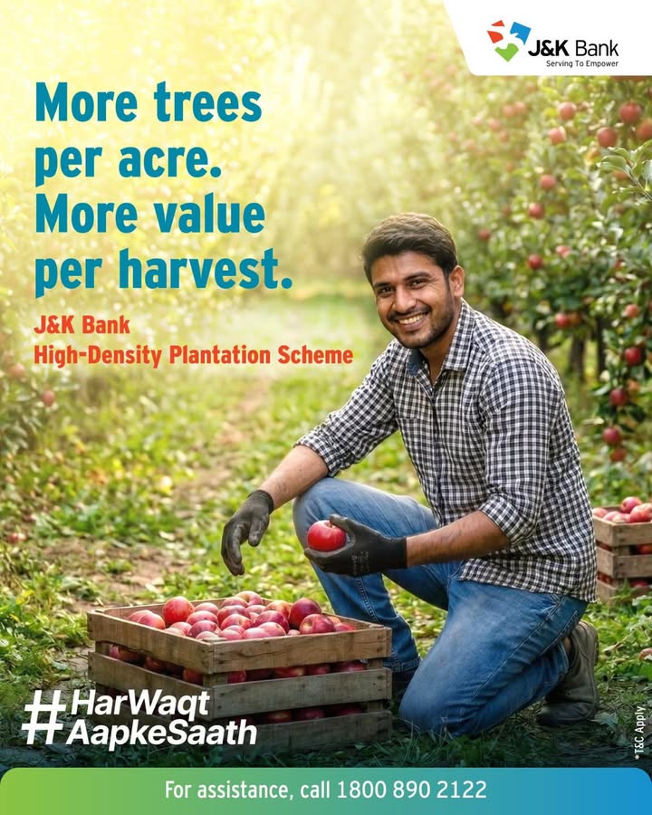J K Banks High Density Plantation Scheme without Government Subsidy empowers progressive farmers to adopt modern orchard pra...