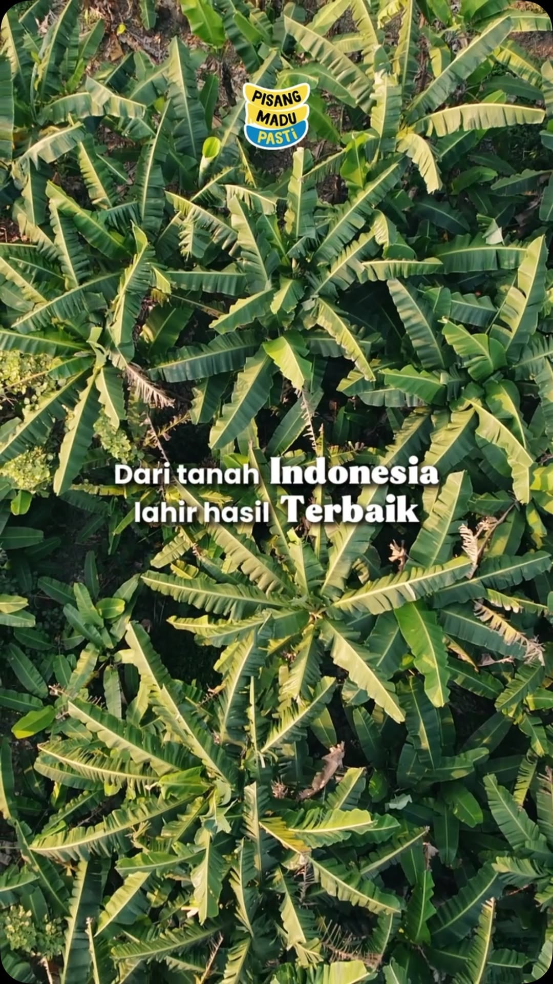 Dari tanah Indonesia, lahir hasil terbaik