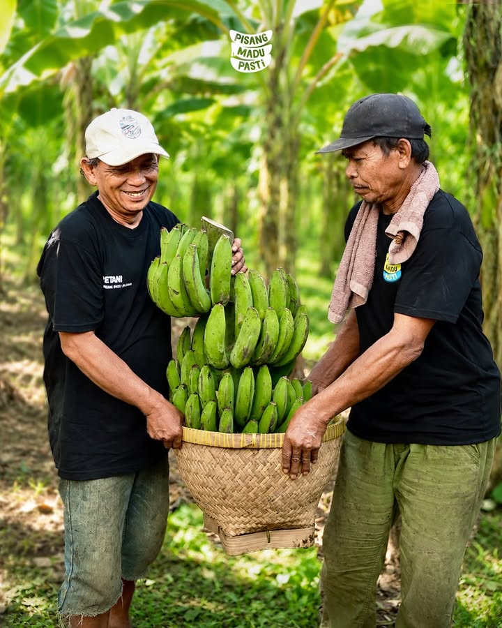 Behind every harvest, there s a story worth appreciating Terima kasih untuk para petani yang terus menjaga kualita...