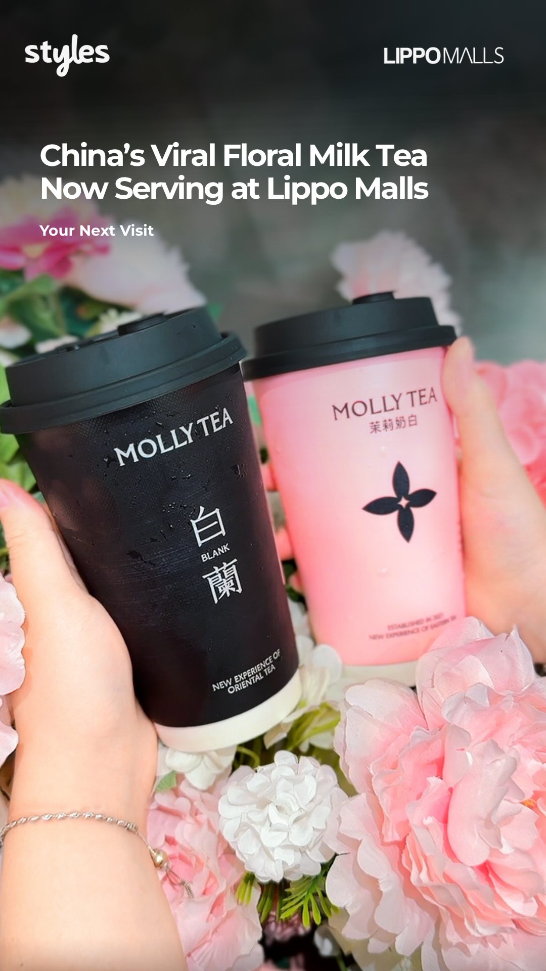 Its finally here Milk tea viral di China, hadir di Lippo Mall Nusantara Kenalan sama Molly Tea yang terkenal dengan mo...