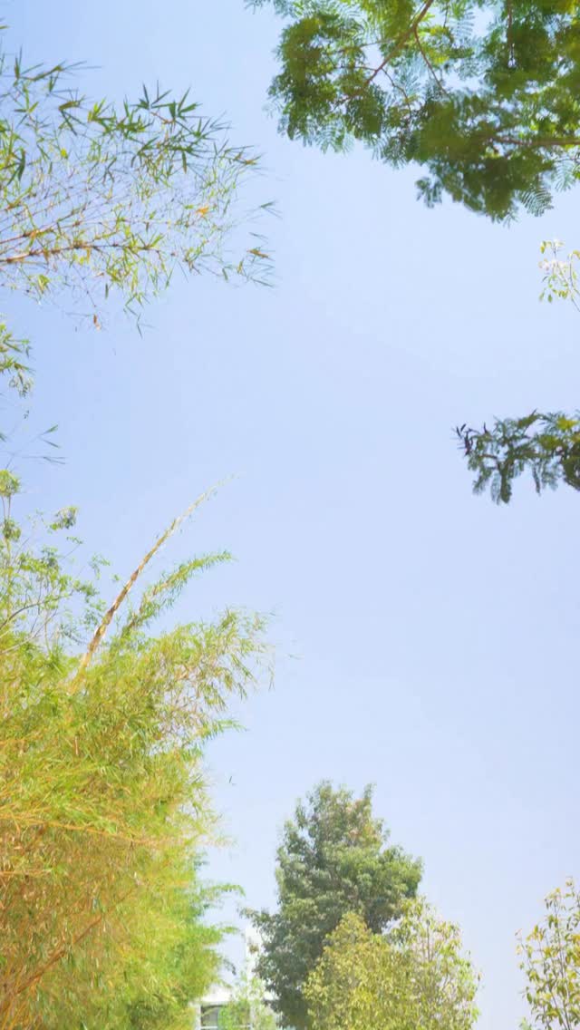 Weve all had that day. The one where you tried your best and it still didnt work out