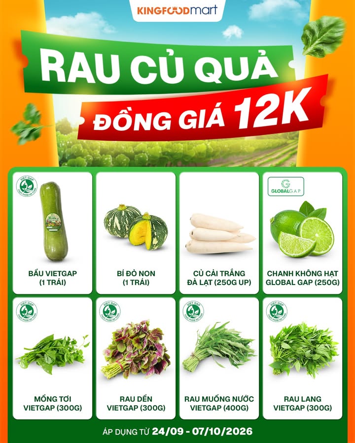  RAU C QU NG GI 12K GI I PH P T I XANH CHO B A C M GIA NH B sung y ...