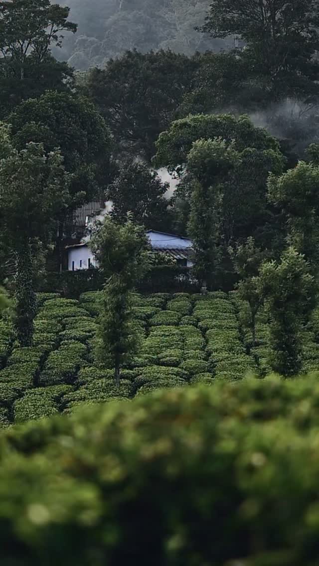 Satu gelas kopi, satu langkah kecil untuk berbuat lebih