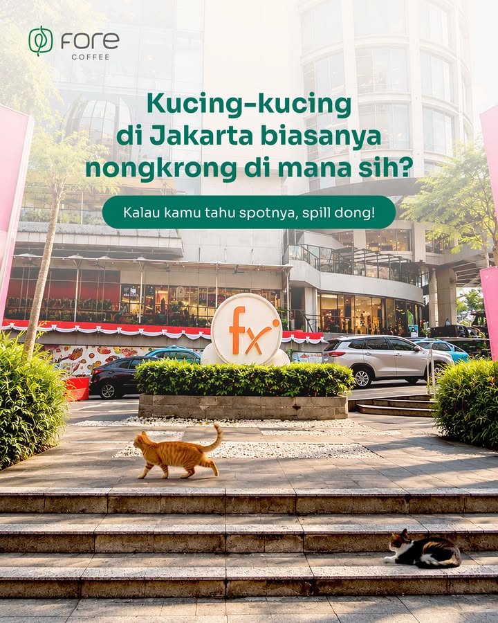 Beneran nanya kucing kucing Jakarta biasanya nongkrong di mana sih Spill dong, guys ForeCoffee UnexpectedFweends