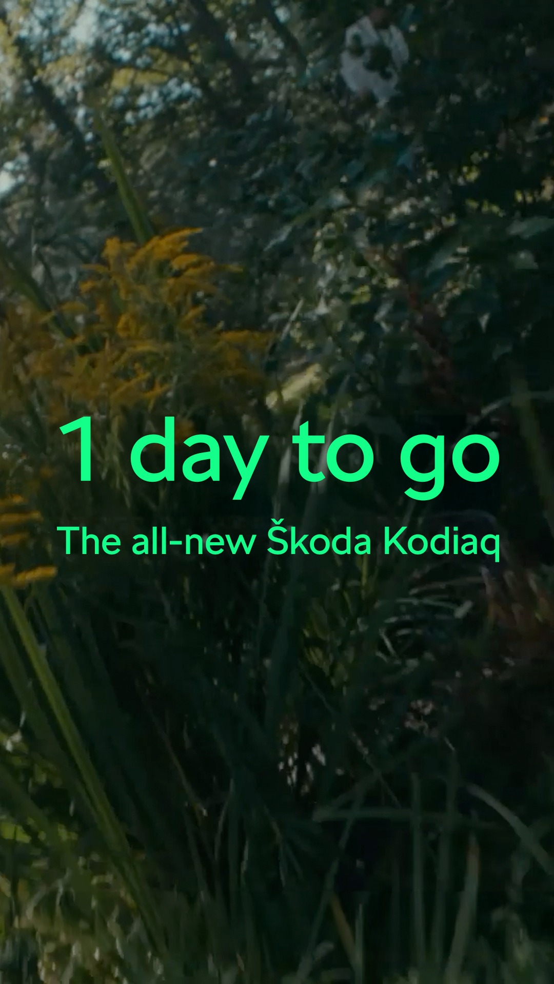 Crafted to redefine. The all new koda Kodiaq is almost here more in every way. Just 1 day to go