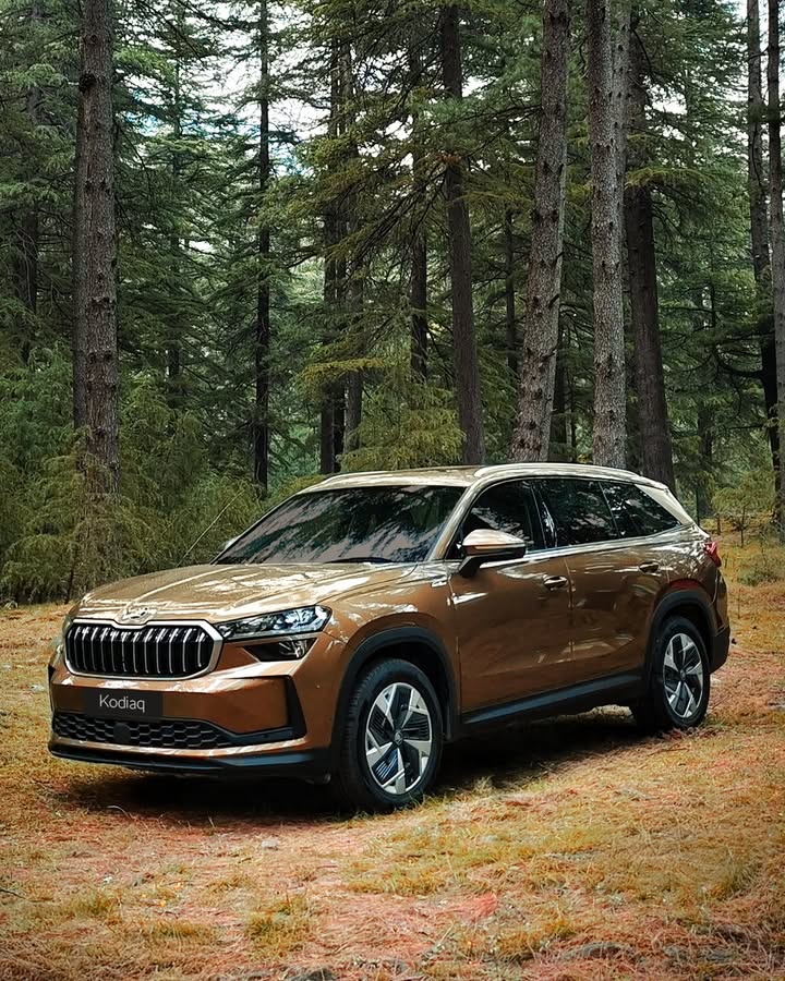 It takes a true explorer to blend into the wild and still make its presence known