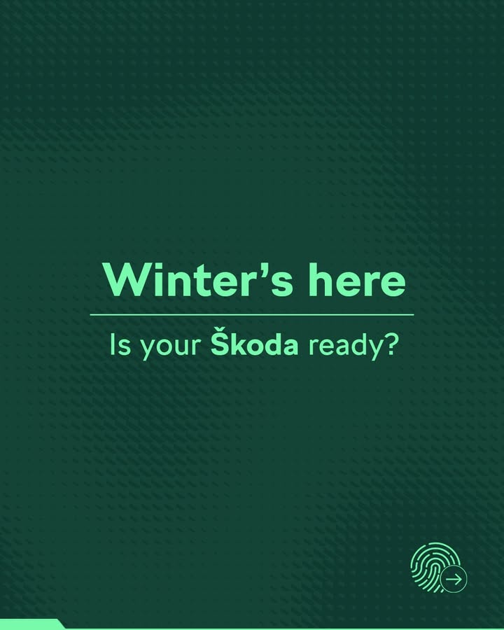 Winter is here, and your koda deserves the right care