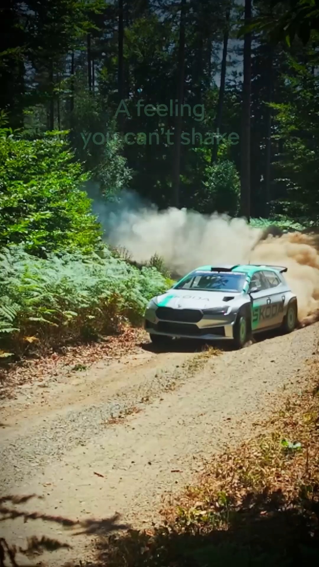 Turns that test reflexes. Drifts that test limits. And the Fabia RS Rally2 that never flinches