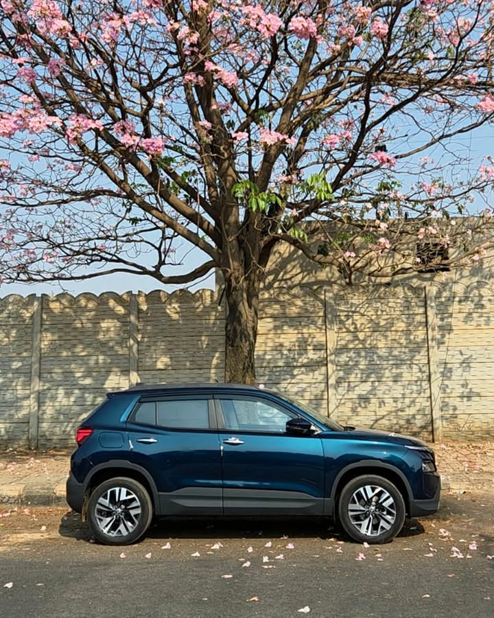 Between the rush and the routine, Mitesh Nayakpara finds a drive that brings everything into balance