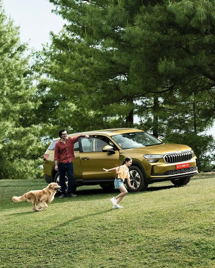 Open skies, muddy paws beside you and the koda Kodiaq leading the way