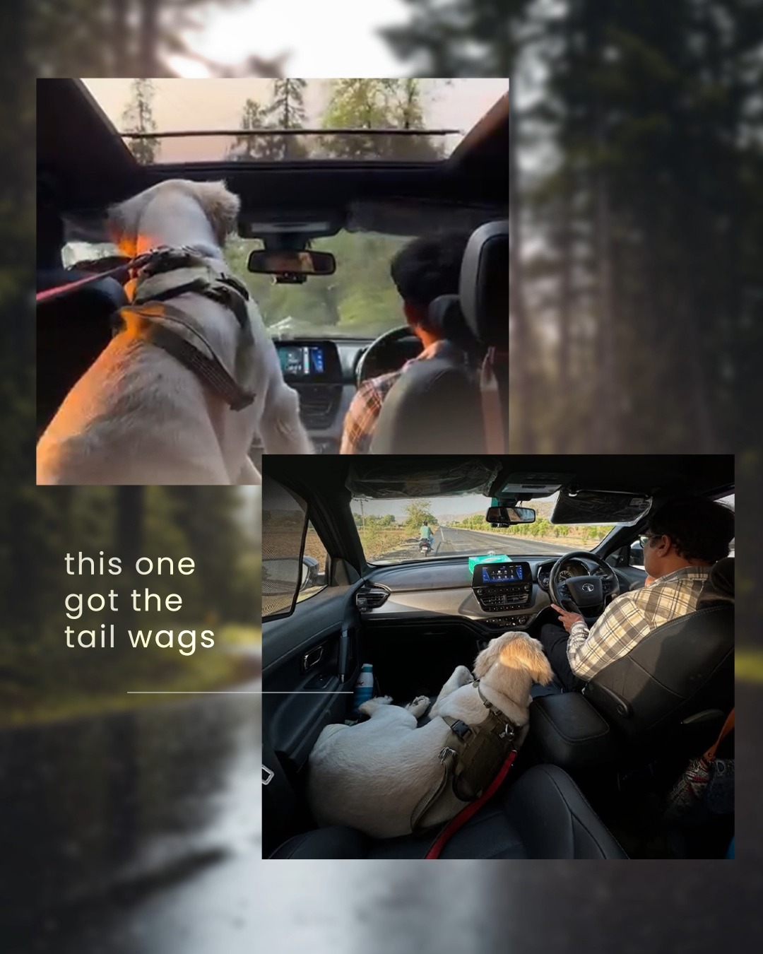Shubham rolls with two partners one drives, the other drools on adventure
