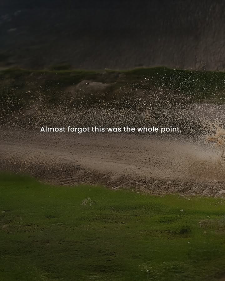 Where the wild finds its match. Visit the link https bit