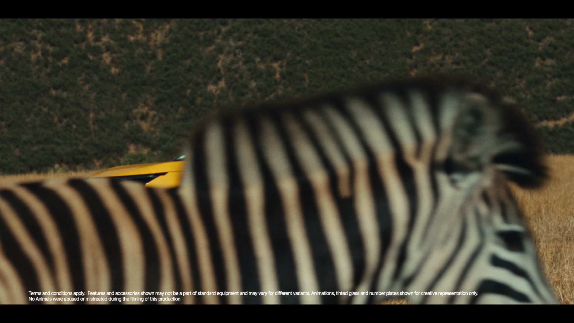 The original returns. Still original. Then. Now. Always. Sierra. The legend returns. 25.11.25