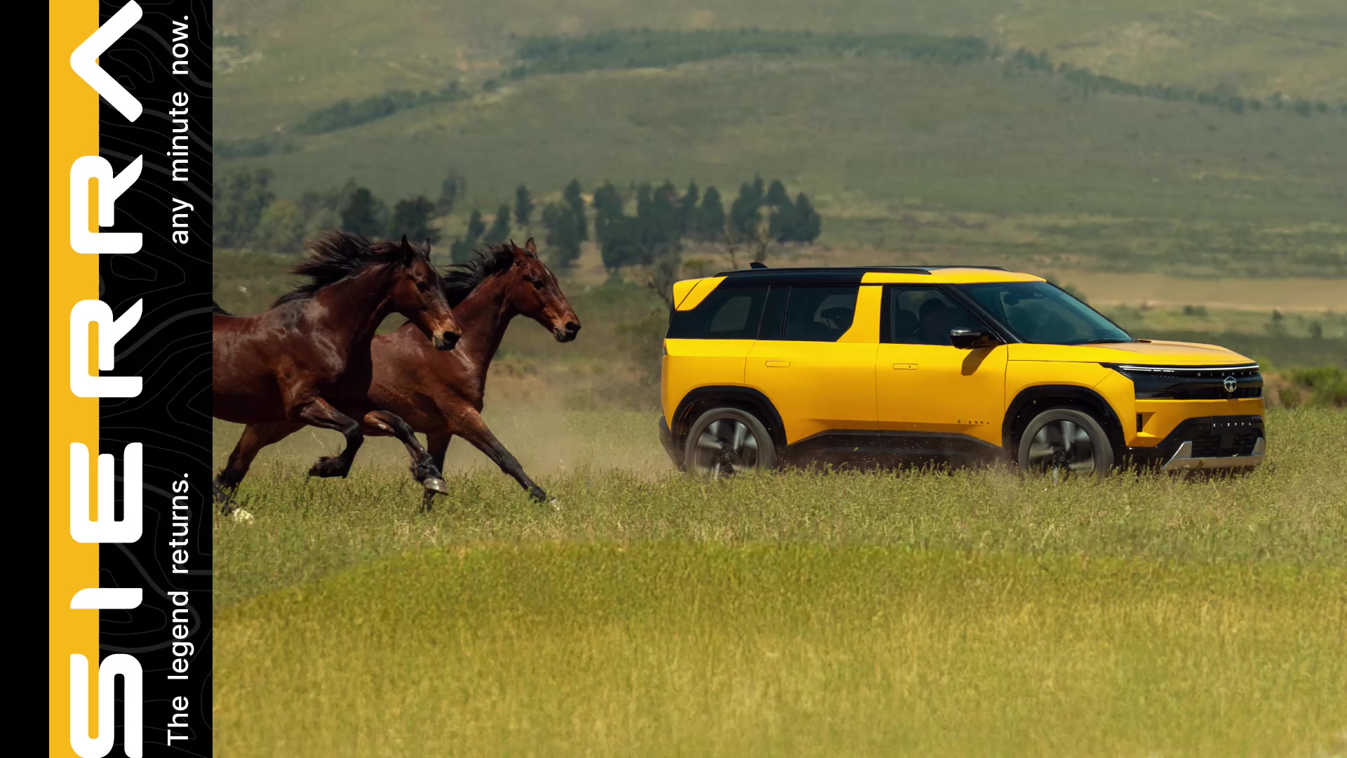 Some cars enter the market. A rare few shape culture