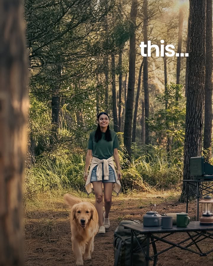 Your chill cabin in the woods Tiago ItsAChillCar TataTiago TataMotorsPassengerVehicles