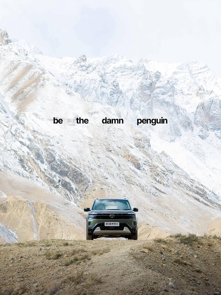 This isnt about being lost. Its about choosing your way. Sierra TataSierra EscapeMediocre Penguin Mountain