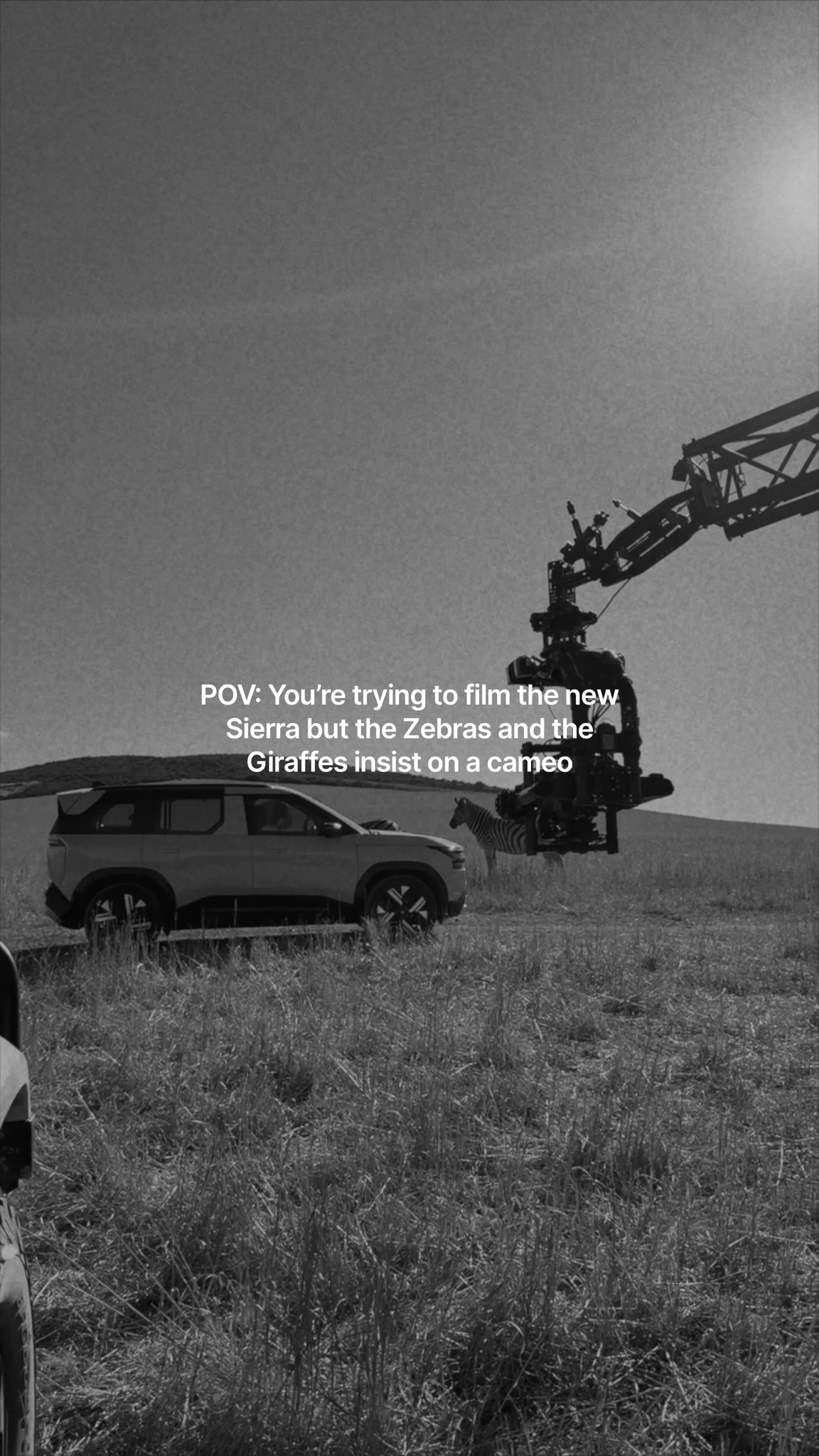 No match today. Still a wild cameo. InternationalZebraDay Sierra TataSierra EscapeMediocre