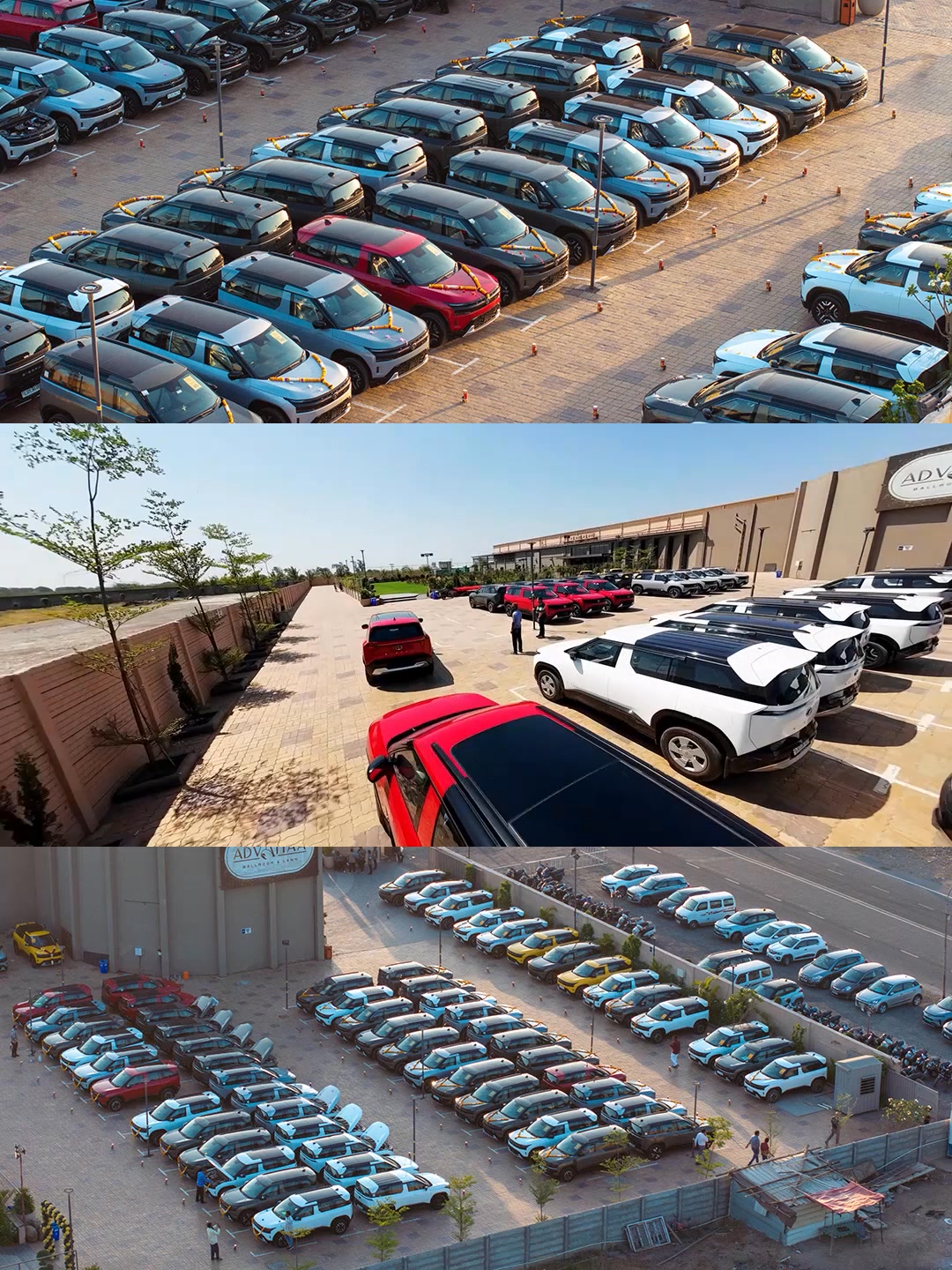 Big day in Surat Sierra TataSierra EscapeMediocre