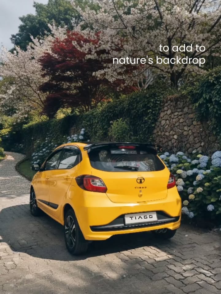 When the Chill Car brings the sunshine ft