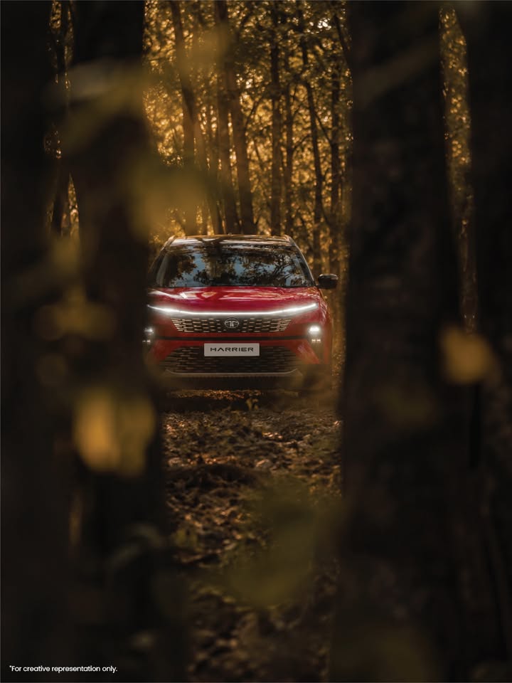Some things can t be tamed. Harrier ULTRA and Red DARK, now available in Diesel. Visit https bit