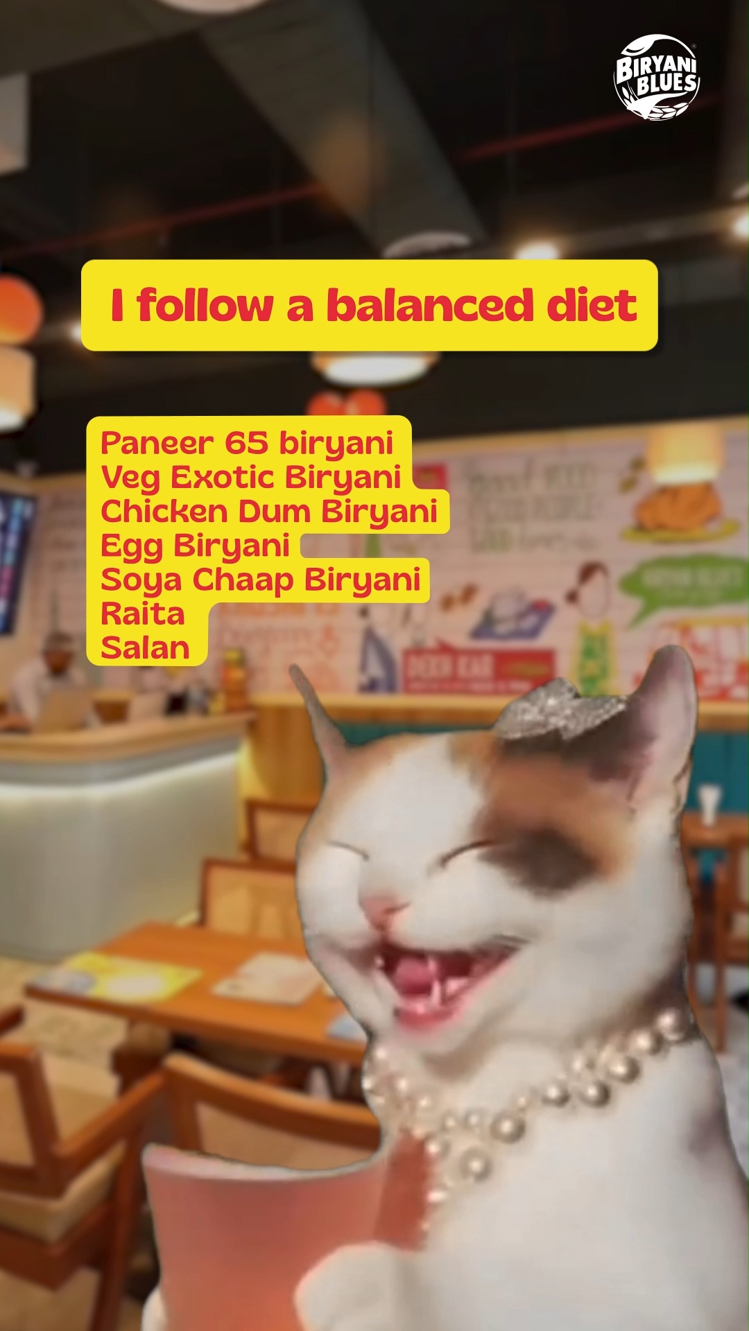 Balanced diet means har type ki Biryani plate mein . 