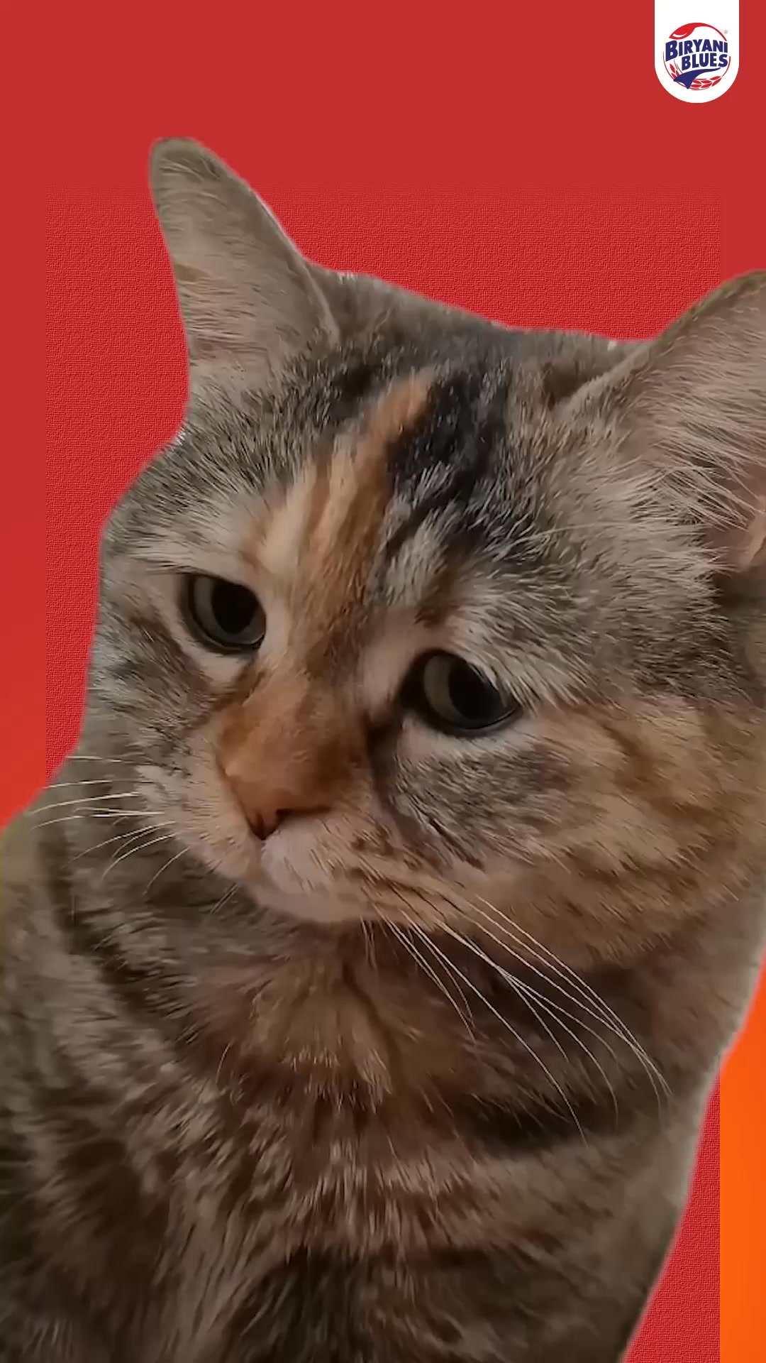 Sounds like your sibling Tag them tell us which one they are Best entries win FREE BIRYANI. . . . . 