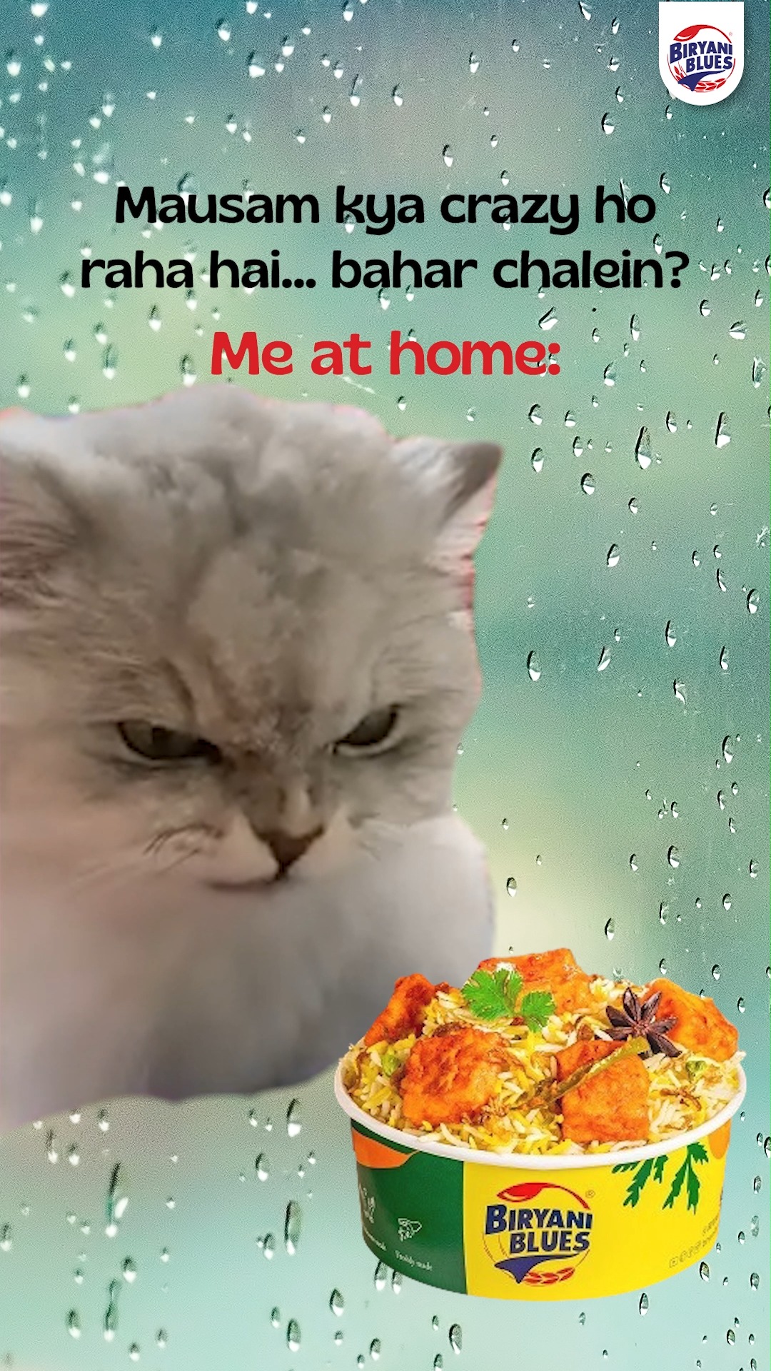 POV my social life biryani people . . 