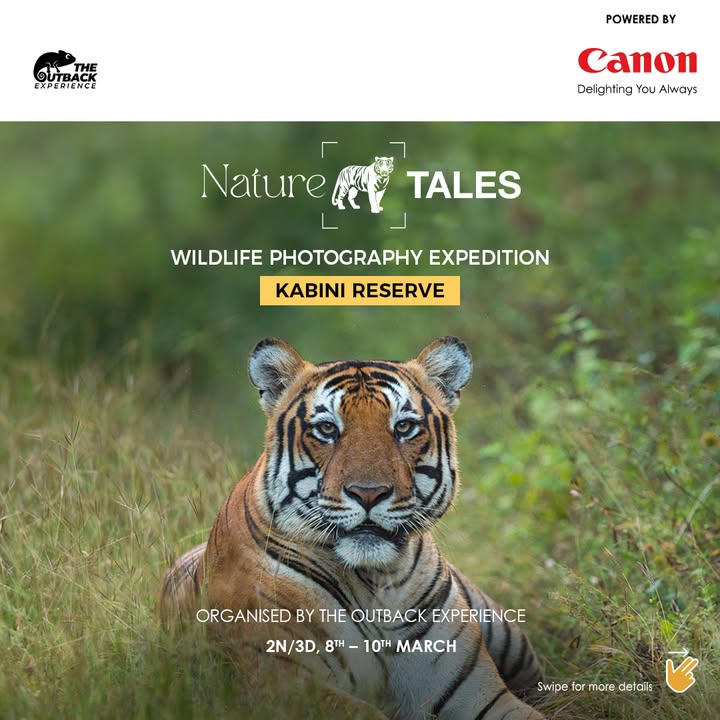 Prepare to immerse yourself in the stunning landscapes of Nagarhole Tiger Reserve at Kabini, one of India s most renowned wi...