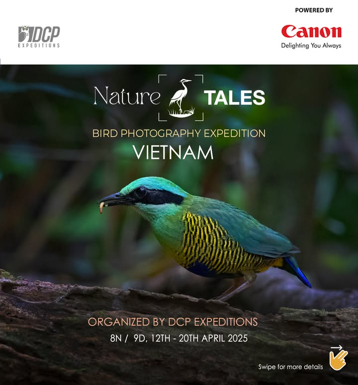 Explore Vietnams Unique Wildlife Discover Vietnams stunning endemic species found nowhere else in the world Join Canon...