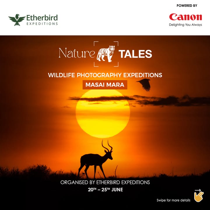 Witness the breathtaking wonder of the Great Migration in the iconic Masai Mara. Join Nature Tales on an exclusive wildlife photography expedition, led by Canon EOS Influencer Ramachandiran Govindaraj Witness the breathtaking wonder of the Great Migration in the iconic Masai Mara